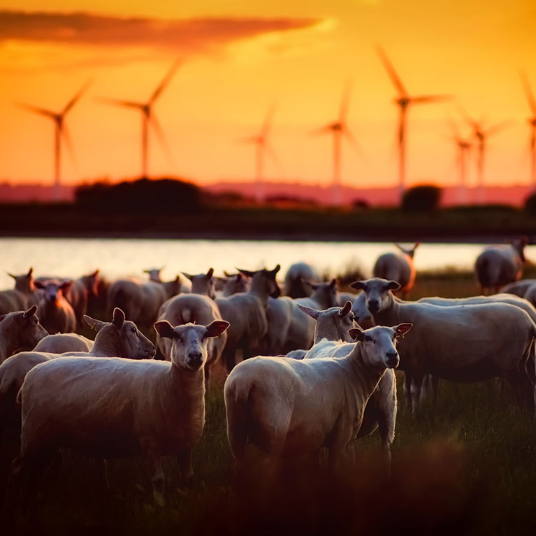 Natural Windmill